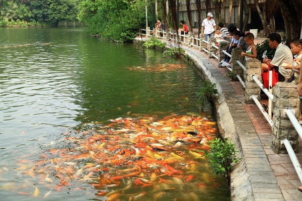 http://www.cookiesound.com/wp-content/uploads/2012/12/feeding-koi-fish-yuexiu-park-guangzhou-china-600x400.jpg
